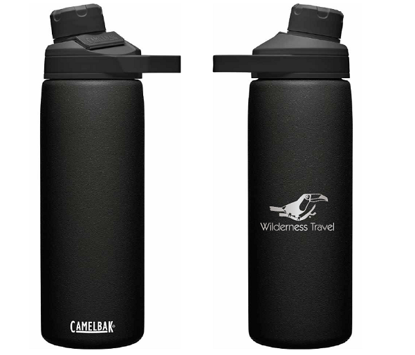 Wilderness Camelbak Chute Mag 20 OZ Stainless Insulated Bottle